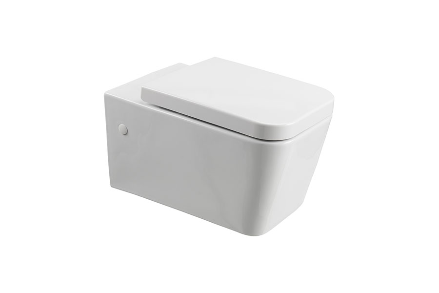 Advance wall hung toilet